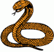 В Австралии живет самая ядовитая змея мира - тайпан