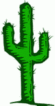 Мексика - страна кактусов